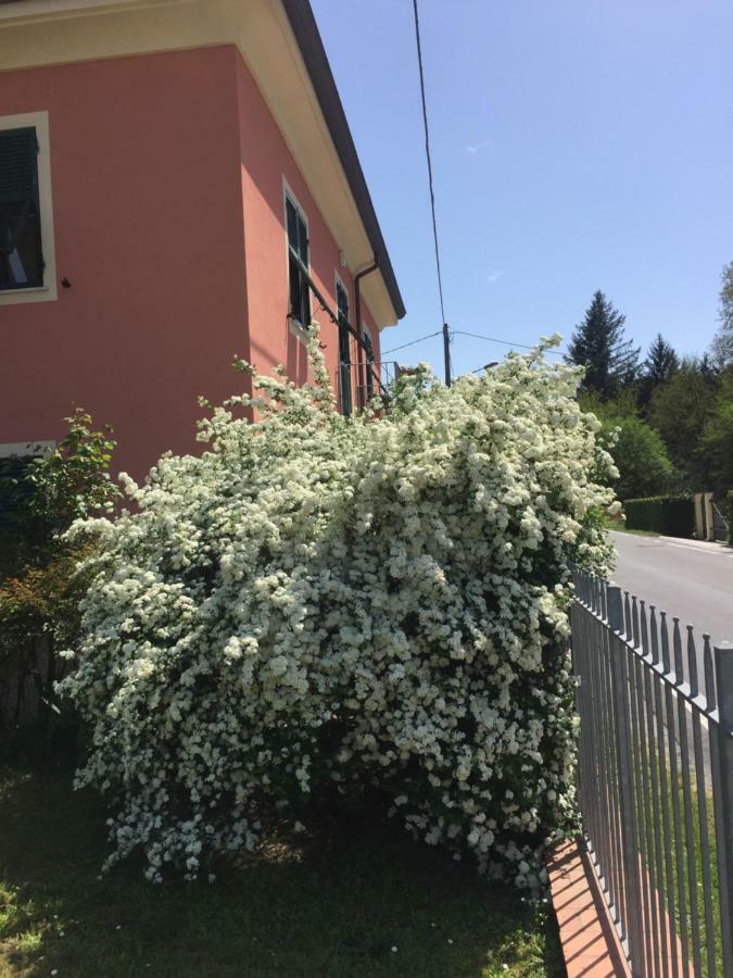 Il Ghiretto Appartamento Ricco del Golfo di Spezia Exterior photo