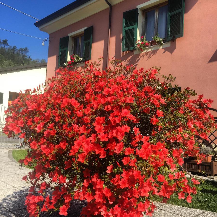 Il Ghiretto Appartamento Ricco del Golfo di Spezia Exterior photo